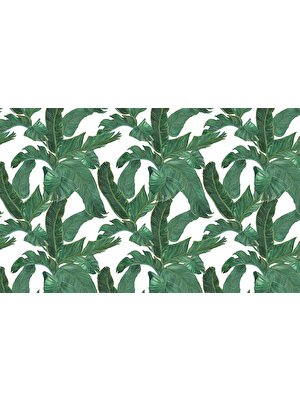 Özen Duvar Kağıdı Tropikal Yapraklar Duvar Kağıdı Yeşil Yapraklar