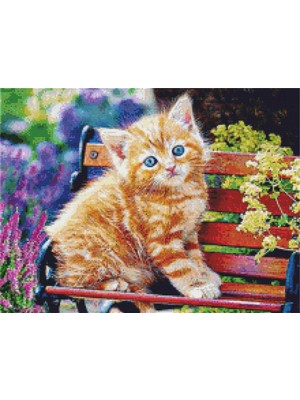 Movas Sanat Bank'ta Sarı Bir Yavru Kedi Elmas Mozaik Tablo Mozaik Puzzle 55 x 40cm E2020-1335-M