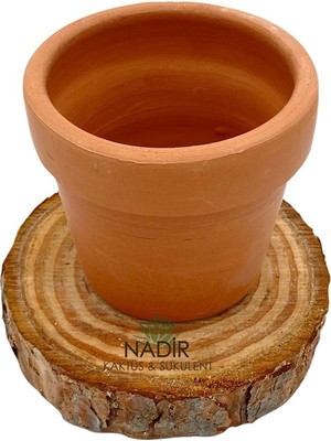 Nadir Kaktüs El Yapımı 8.5 cm Seramik Saksı