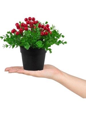 Çiçekmisin 3 Adet Siyah Mini Plastik Saksıda Yapay Kokina Çiçeği