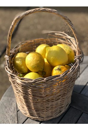limon satin al limon fiyatlari hepsiburada limon satin al limon fiyatlari hepsiburada