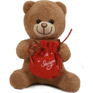 Sevgiliye Özel, Çikolatası ile Romantik Peluş Ayı-30 cm