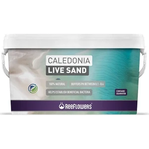 Reeflowers Caledonia Live Sand Gold 18 kg Deniz Akvaryumları Için Canlı Kum