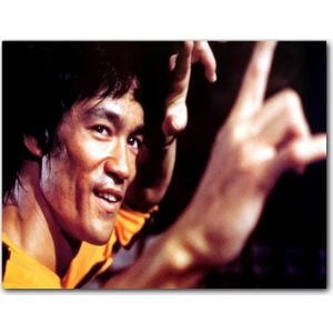 Caka Tablo Ahşap Tablo Bruce Lee Kungfu Dövüş Sanatı