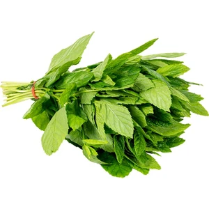 Murat Tohumculuk Murat Tohum Süper Paket Yediveren Ithalyan Ithal Nane Tohumu 850 Adet Tohum