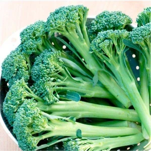 Murat Tohumculuk Murat Tohum Eko Paket Çin Brokoli Tohumu Nadir Çin Brokolisi 30 Adet Tohum