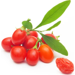 Murat Tohumculuk Murat Tohum Süper Paket Goji Berry Tohumu Kurt Üzümü Tohumu Gojiberry Tohumu 250 Adet Tohum