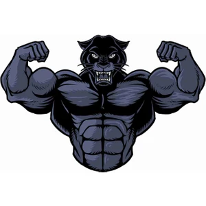 Sticker Atölyesi Panter Bodybuilding Sticker - 17246