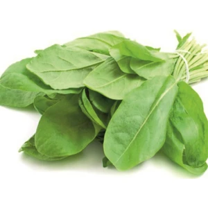 Murat Tohumculuk Murat Tohum Süper Paket Kuzu Kulağı Tohumu Koç Kulağı Tohumu Ekşi Otu Tohumu 1500 Adet Tohum