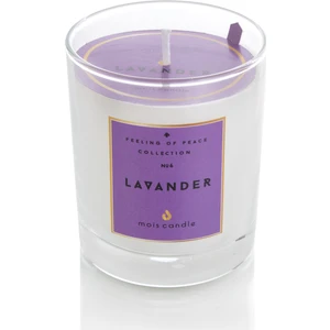Mois Candle Lavanta Kokulu Şeffaf Cam Bardak Mum