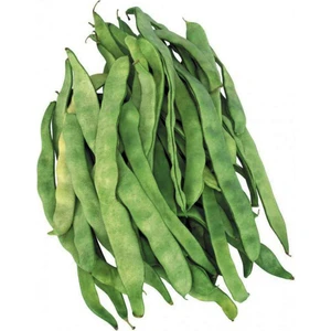 Ayşe Kadın Fasülye Tohumu 1 kg (2500+ Adet) Alman Ayşe Fasulye Tohumu Sırık Fasulye Tohumu
