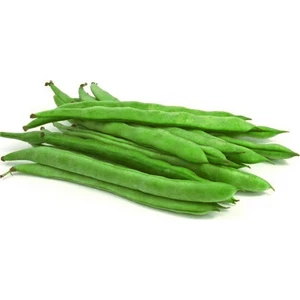 Cino Oturak Fasülye Tohumu 500 gr. (1300+ Adet) Sıla Gina Fasulye Tohumu