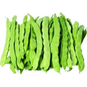 Sarı Kız 40 Günlük Fasülye Tohumu 500 gr. (1300+ Adet) Erkenci Oturak Fasulye Tohumu