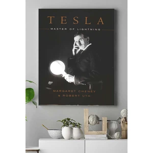 Nikola Tesla Bilimsel Kanvas Tablo 3 21 x 30 cm