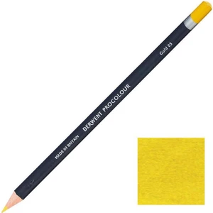 ProColor Kuruboya Kalemi 05 Gold