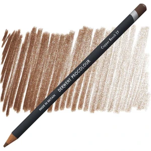 ProColor Kuruboya Kalemi 57 Copper Beech