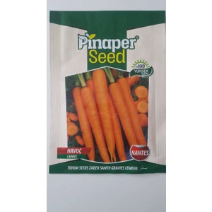 Pinaper Seed Havuç Tohumu 1 Paket