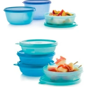 Mavi Saklama Kabı Set