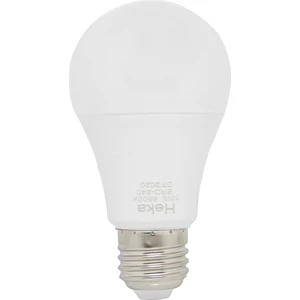 10 Watt Gün Işı LED Ampül