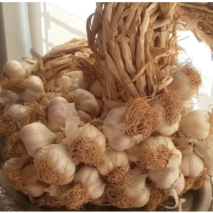 By Kendir Taşköprü Sarımsak  1 kg