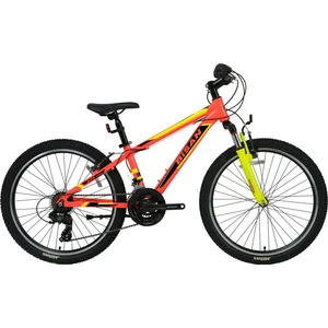 Kdx 2900 Çocuk Bisikleti 24 Jant