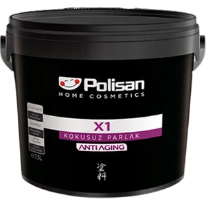 X1 Panel Kapı Boya  Beyaz 2.5 Lt