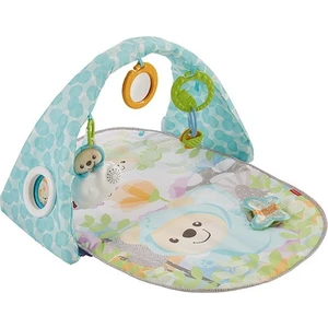 DYW46 Fp Kelebekli Rüyalar Müzikli Jimnastik Merkezi /fisher-Price