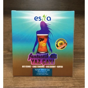 Fantastik Dörtlü Yaz Çayı Doğal Karışık Bitki Çayı 45 Süzen Poşet 90 gr