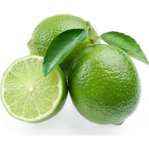 Bursa Tarım Lime Limon ( Yeşil Limon ) Fidanı