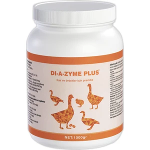 Diazyme Plus Kaz 1000 GR