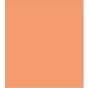 Alex Schoeller Fon Kartonu 160 gr 50 x 70 cm Somon