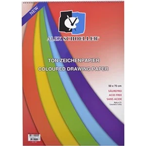 Alex Schoeller Karışık Renkli Fon Kartonu 120 gr 35 x 50 cm 10'lu