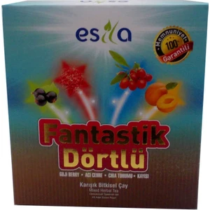 Fantastik Dörtlü Bitkisel Yaz Çayı 45 Süzen Pşt