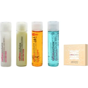 Wellness Exclusive 4 'lü Saç ve Vücut Bakım Seti 4 x 35 ml + 30 gr Sabun