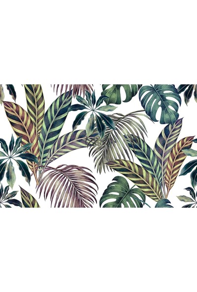 Özen Duvar Kağıdı Tropikal Yapraklar Duvar Kağıdı Amazon Yaprakları