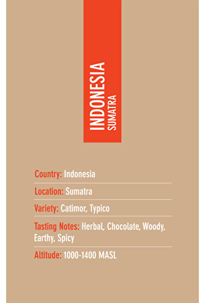 Coffeebou Indonesia Sumatra Çekirdek Filtre Kahve 250 G