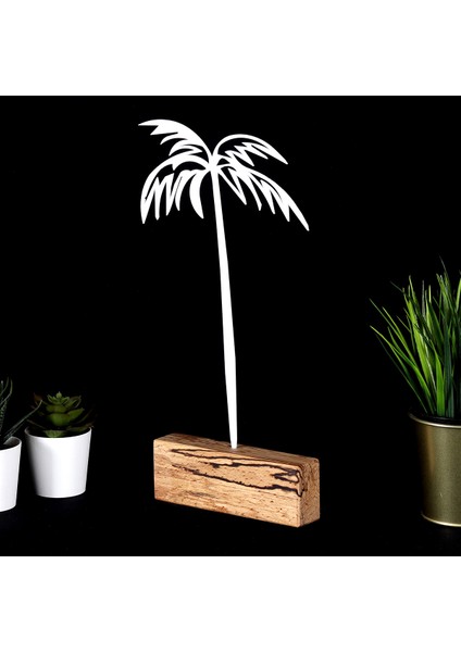 Biblo Palm fiyatları