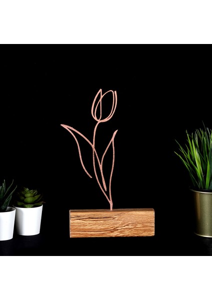 Biblo Tulip