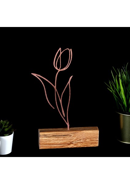 Biblo Tulip fiyatları
