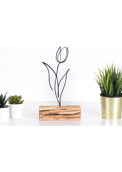 Biblo Tulip fiyatları