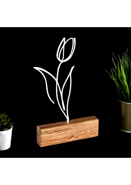 Biblo Tulip fiyatları