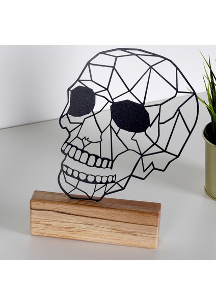 Biblo Skull fiyatları