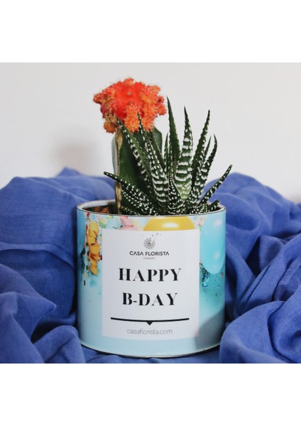 Casa Florista Mini Haworthia Ve Kaktüs (Happy Birthday)