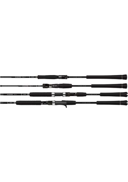 Rod 20GAME Type Jigging Spin 1,78M 5'10" 250G 1+1pc
