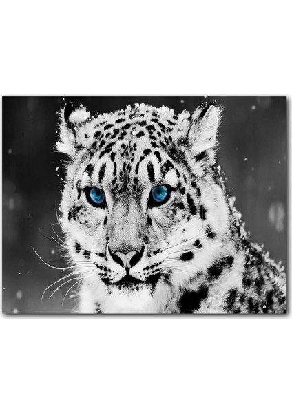Ahşap Tablo Kar Leoparı ve Mavi Gözleri