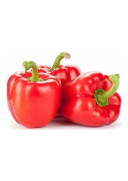 Murat Tohum Süper Paket Acı Kırmızı Dolmalık Biber Tohumu 250 Adet Tohum
