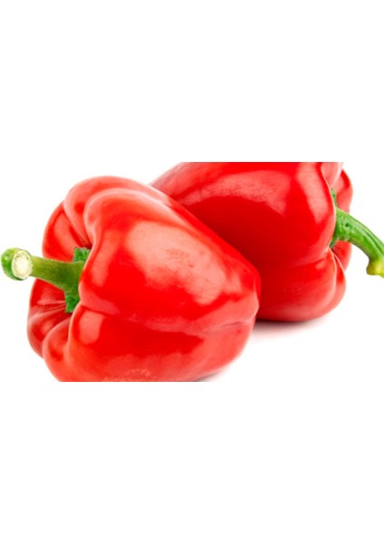 Murat Tohum Süper Paket Acı Kırmızı Dolmalık Biber Tohumu 250 Adet Tohum indirimleri
