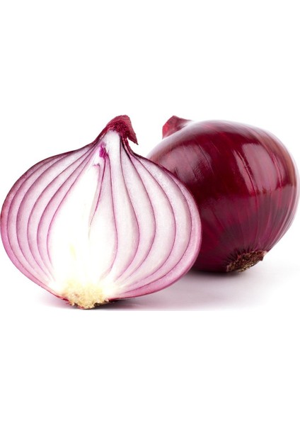 Murat Tohum Süper Paket Hafif Acı Mor Soğan Tohumu 1500 Adet Tohum