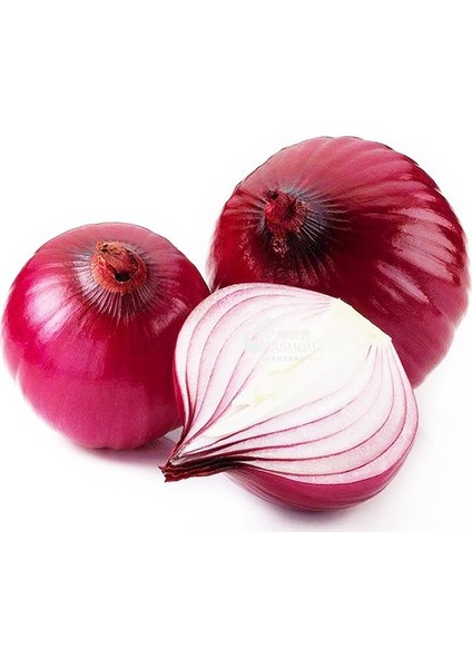 Murat Tohum Süper Paket Hafif Acı Mor Soğan Tohumu 1500 Adet Tohum fiyatları