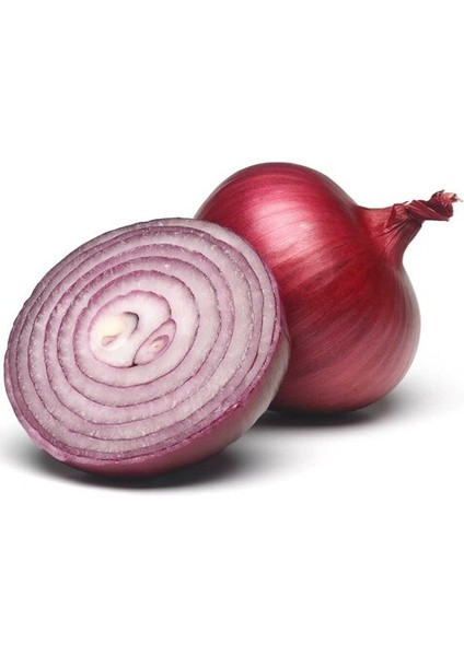 Murat Tohum Süper Paket Hafif Acı Mor Soğan Tohumu 1500 Adet Tohum modelleri